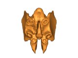 magnitic skull-1