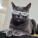 avatar of Hubs