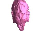Buste de prédateur-6