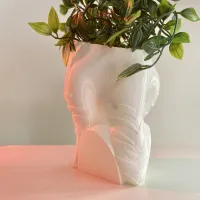 AHSOKA FLOWER POT-STAR WARS-3