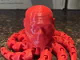 LeBron octopus-5
