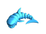 curled shark-0