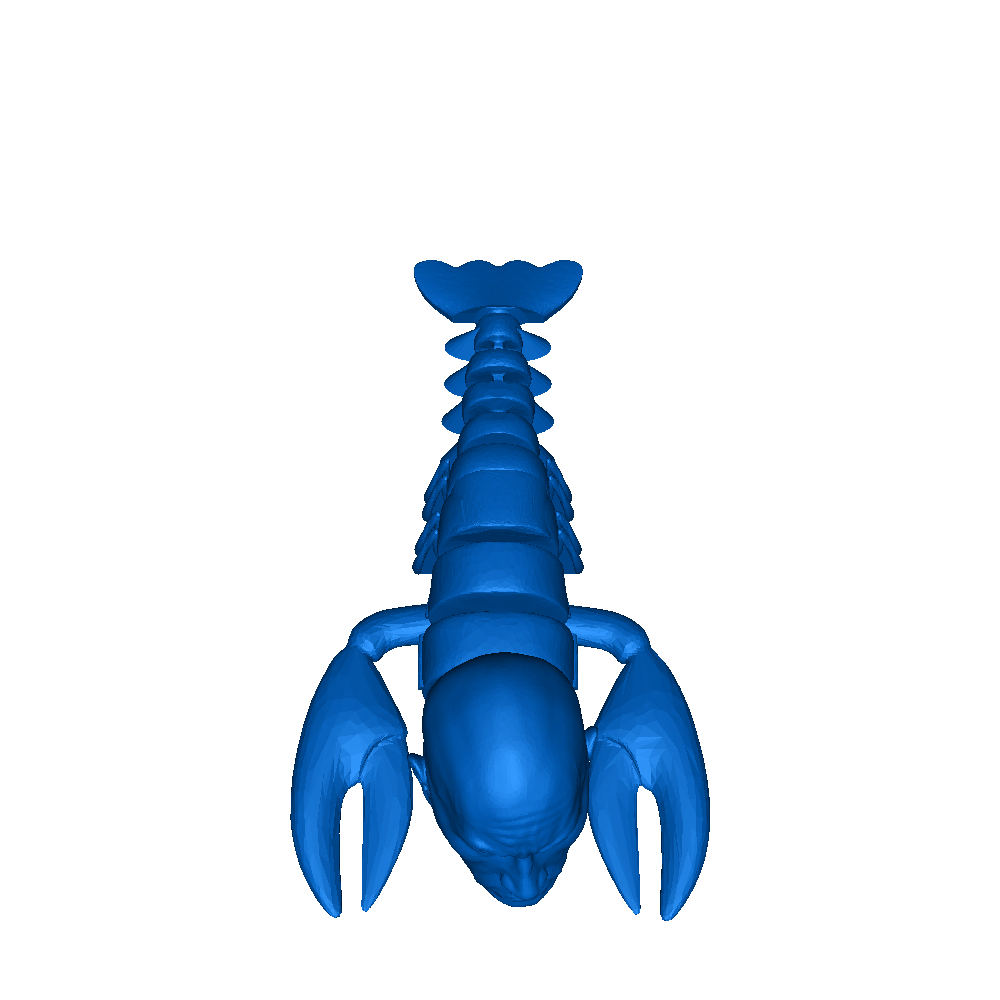 rock lobster 