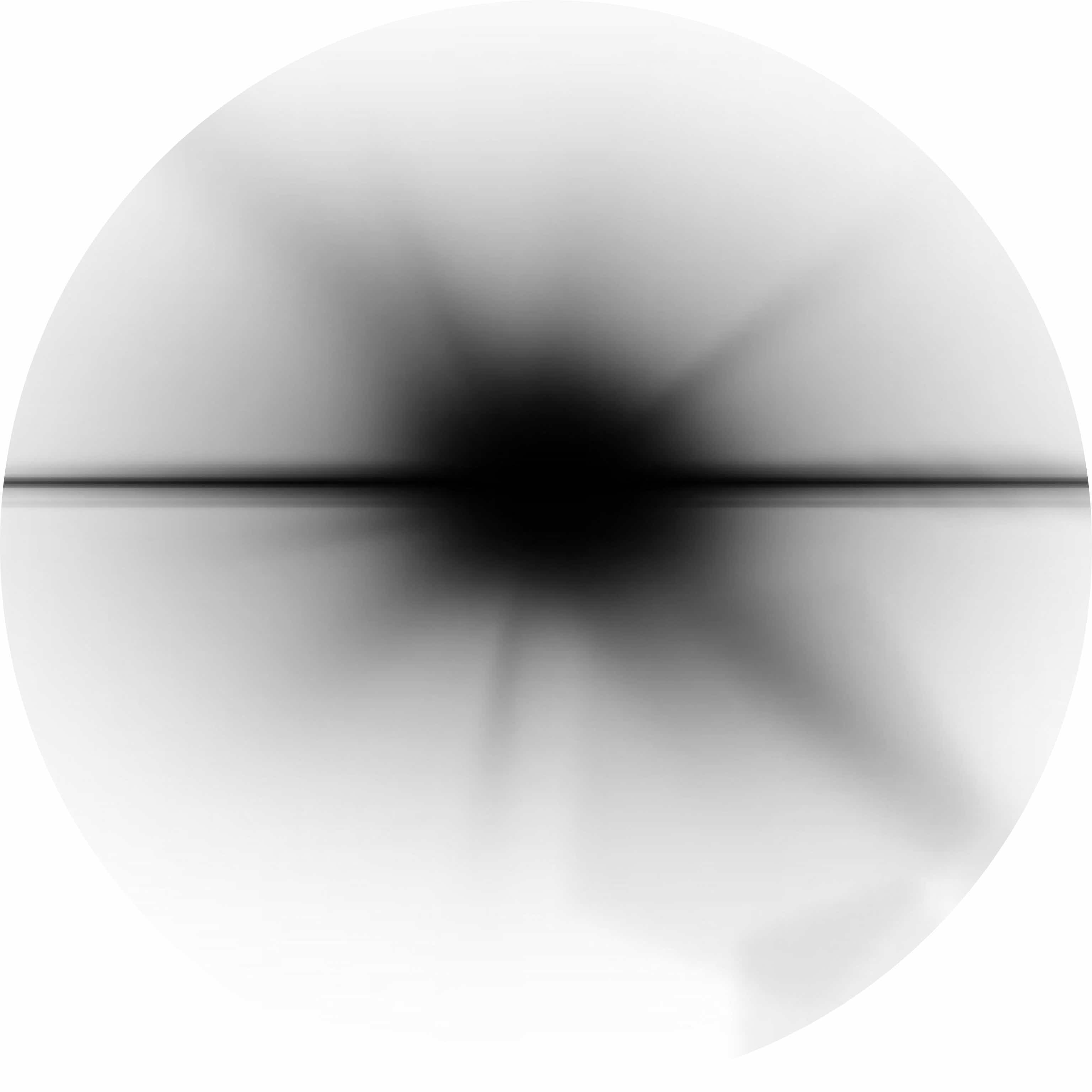 avatar of Lucas54329