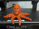 Rocktopus octopus -0