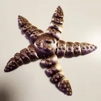 CUTE FLEXI STARFISH-2