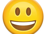 Smiling Emoji Coin-1