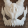 avatar of RulerBresker