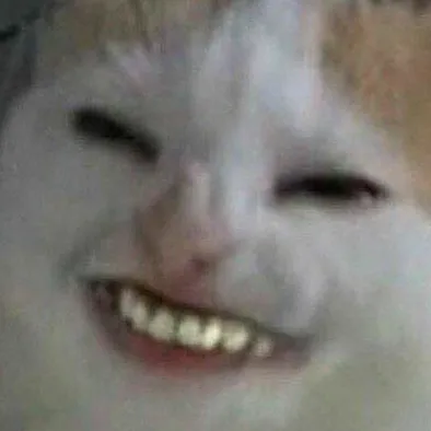 p1ckl3d_catf00d