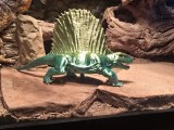 dimetrodon -1