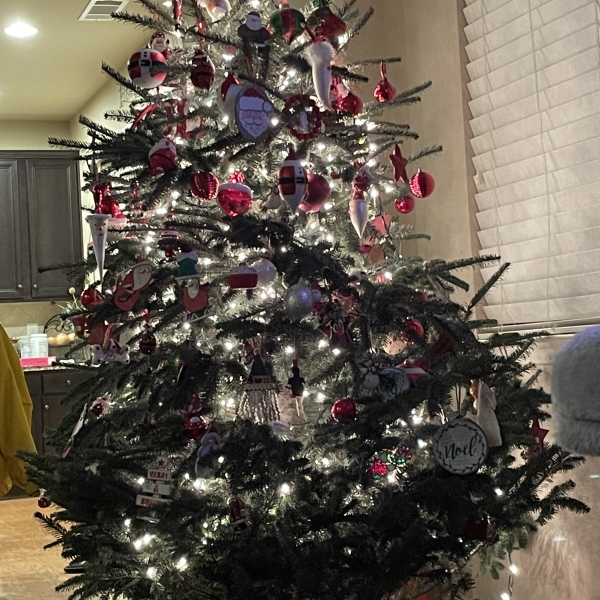 This is my Christmas tree this year! Merry Christmas to all of y’all.