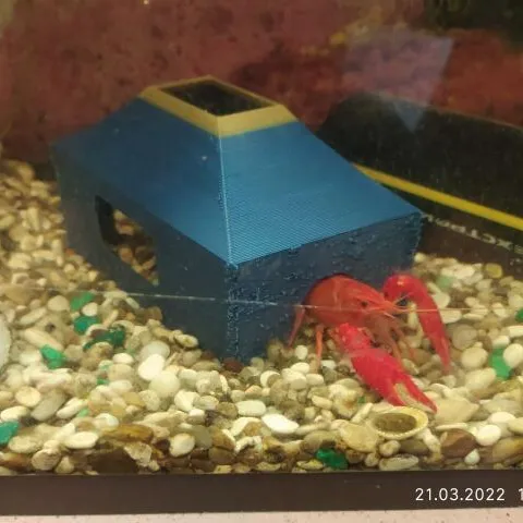 A house for crayfish in an aquarium