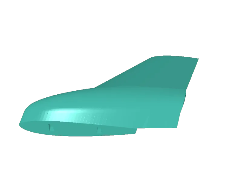 wing tips