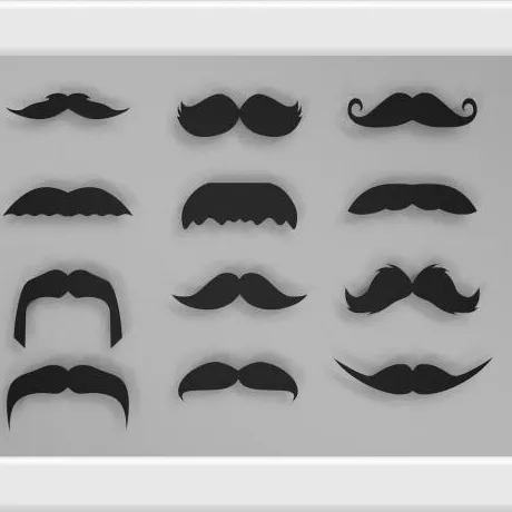 A set of false mustaches