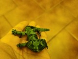 LUSTIGER FLEXY GECKO-6