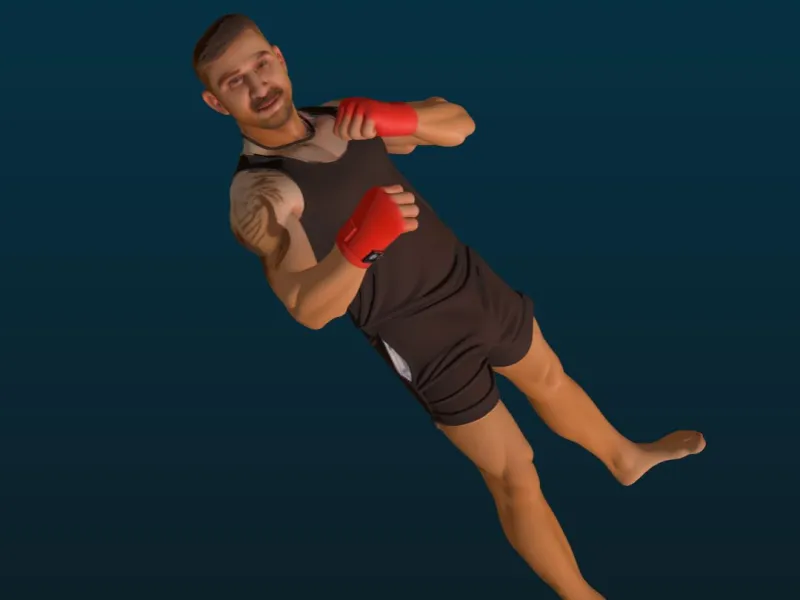 Luchadir