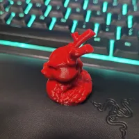 Cali-Dragon-1