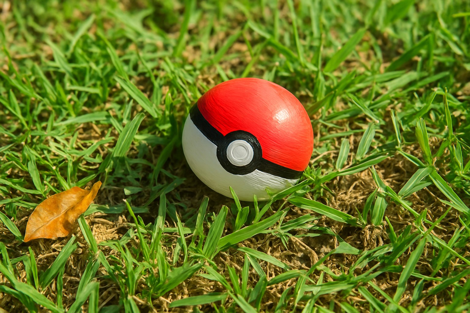 Pokemon Pokeball