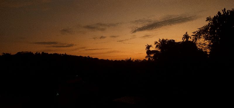 avatar of Adwaith Km