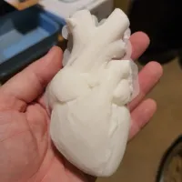 Anatomical Heart Vase - Stand Alone-3