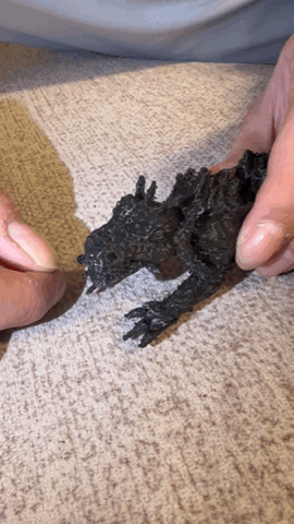 Articulated dragon-0