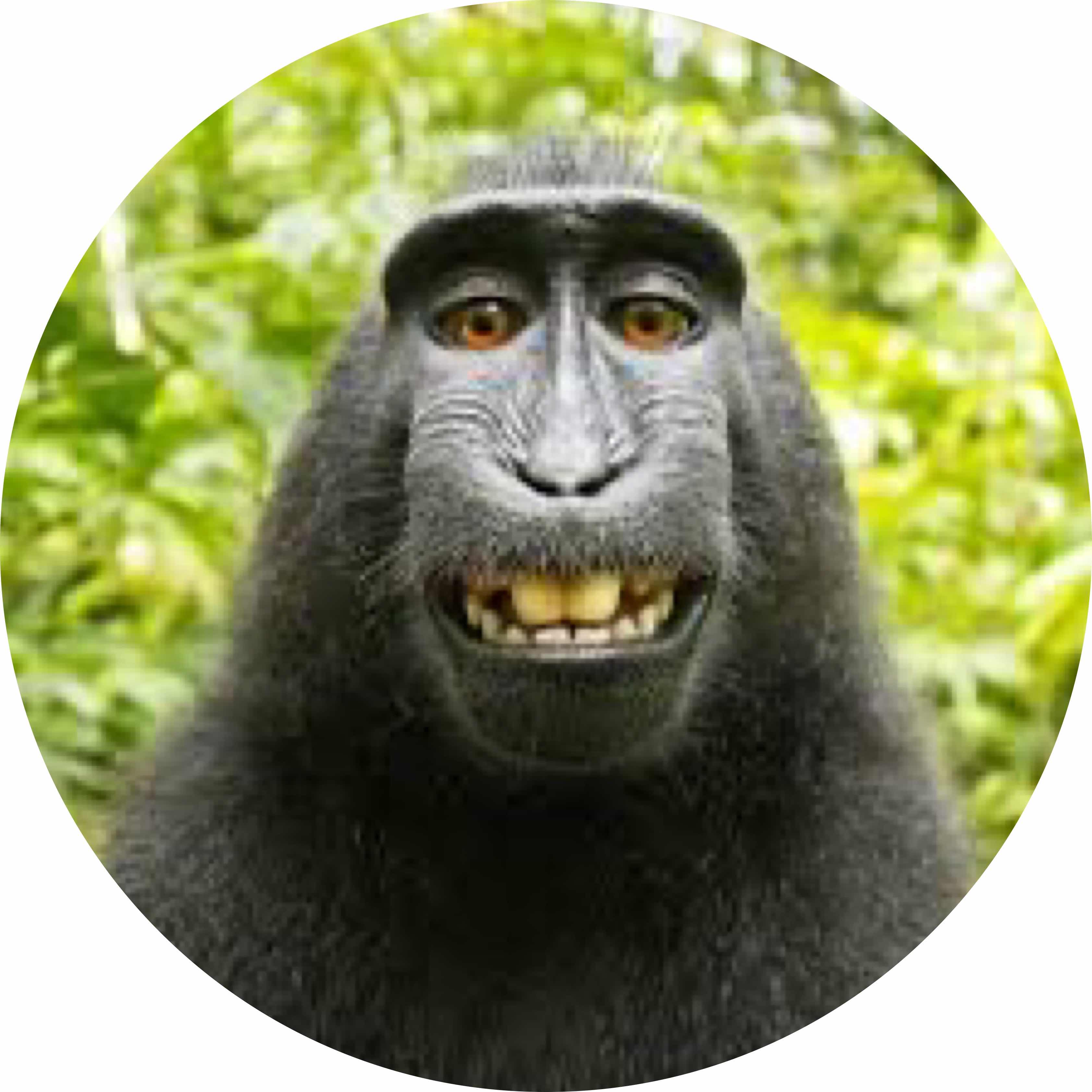 avatar of Pro17282