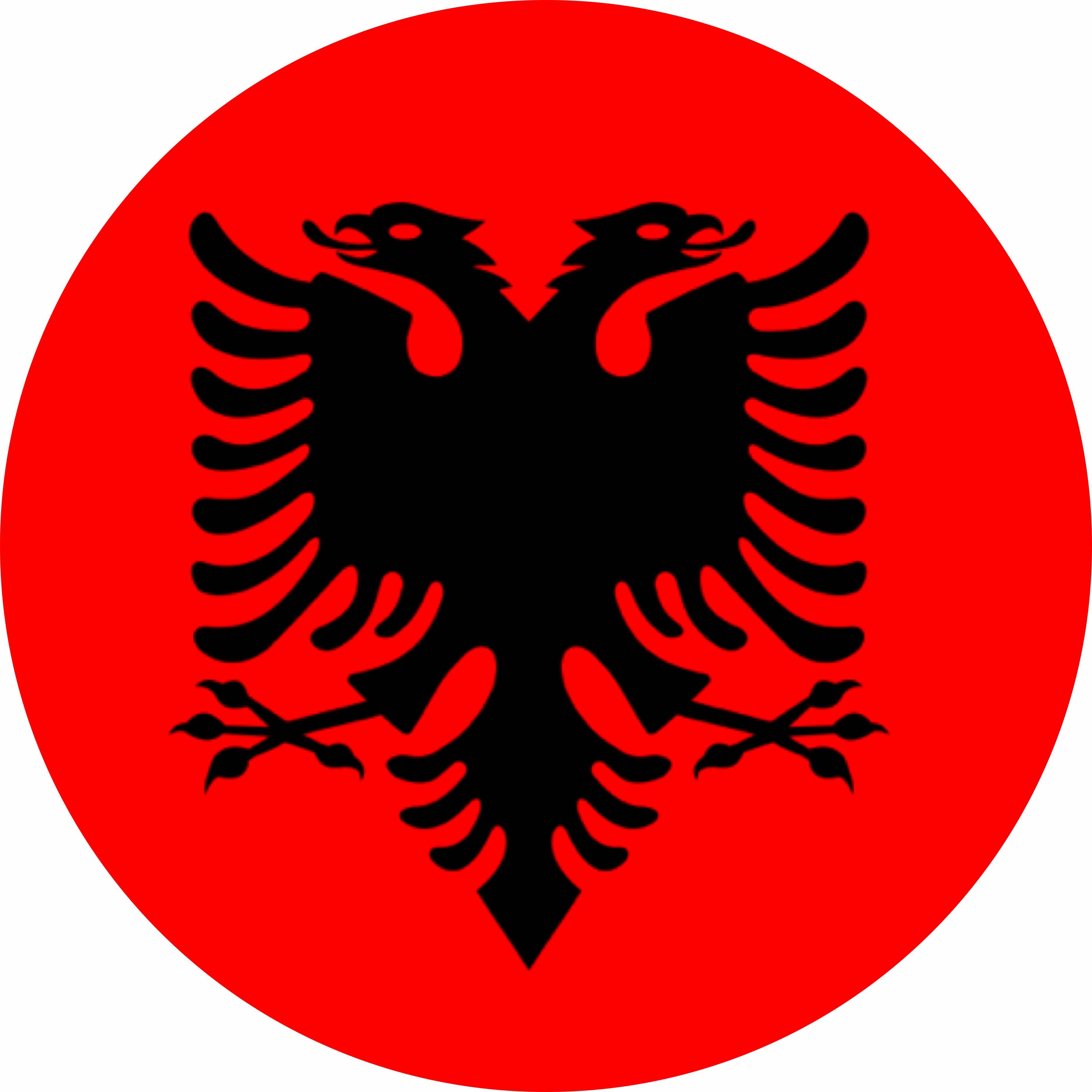 avatar of EneaF22