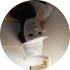 avatar of AntalGeek
