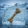 avatar of Icebone9