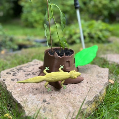 Tree Stump and Lizard plant plot-1
