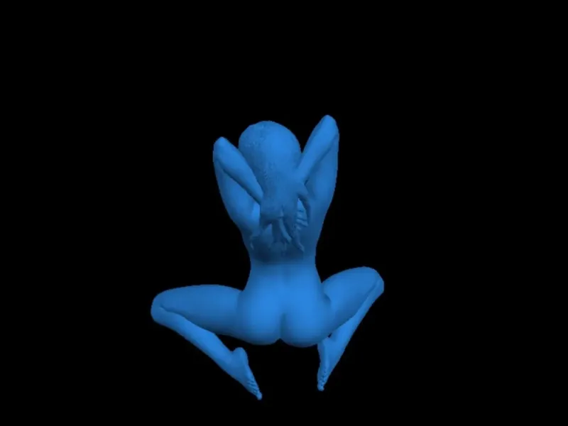 +18 sexs models puzzle 