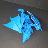 Silver Dragon-2