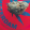 avatar of vvs00