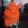 avatar of Mikkel85
