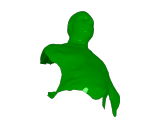 human head scan-0
