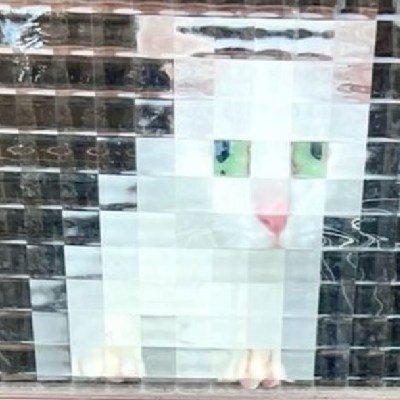 avatar of MeesterKilo