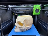 skull planter / bowl-2