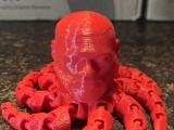 LeBron octopus-0