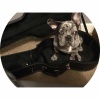 avatar of MrFrench008