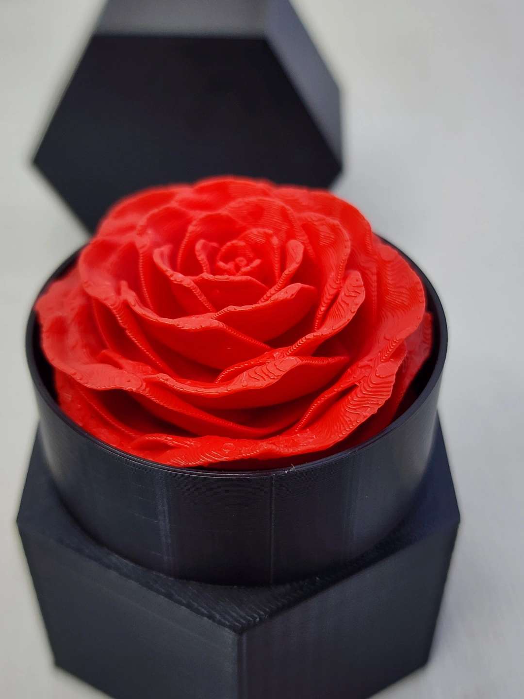 Rose in the hexagonal box