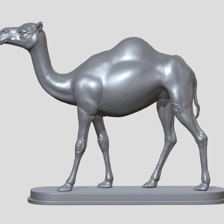 camello 