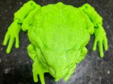 Frog-1