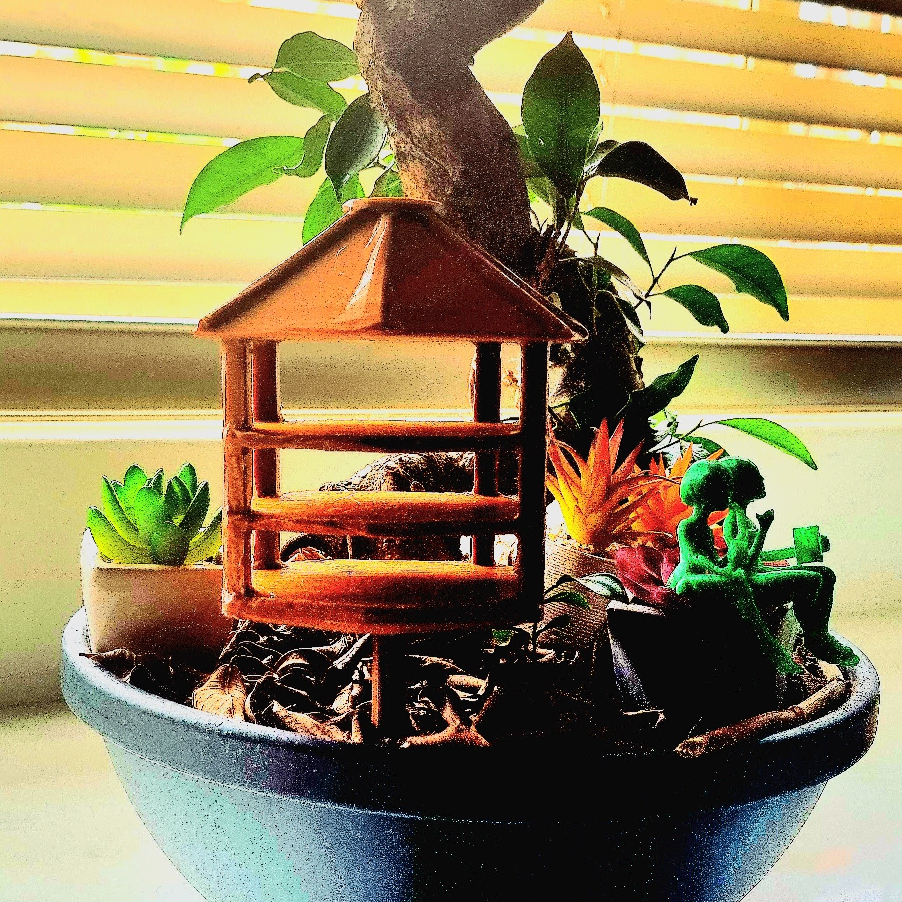 Rainy day Bird Shelter 