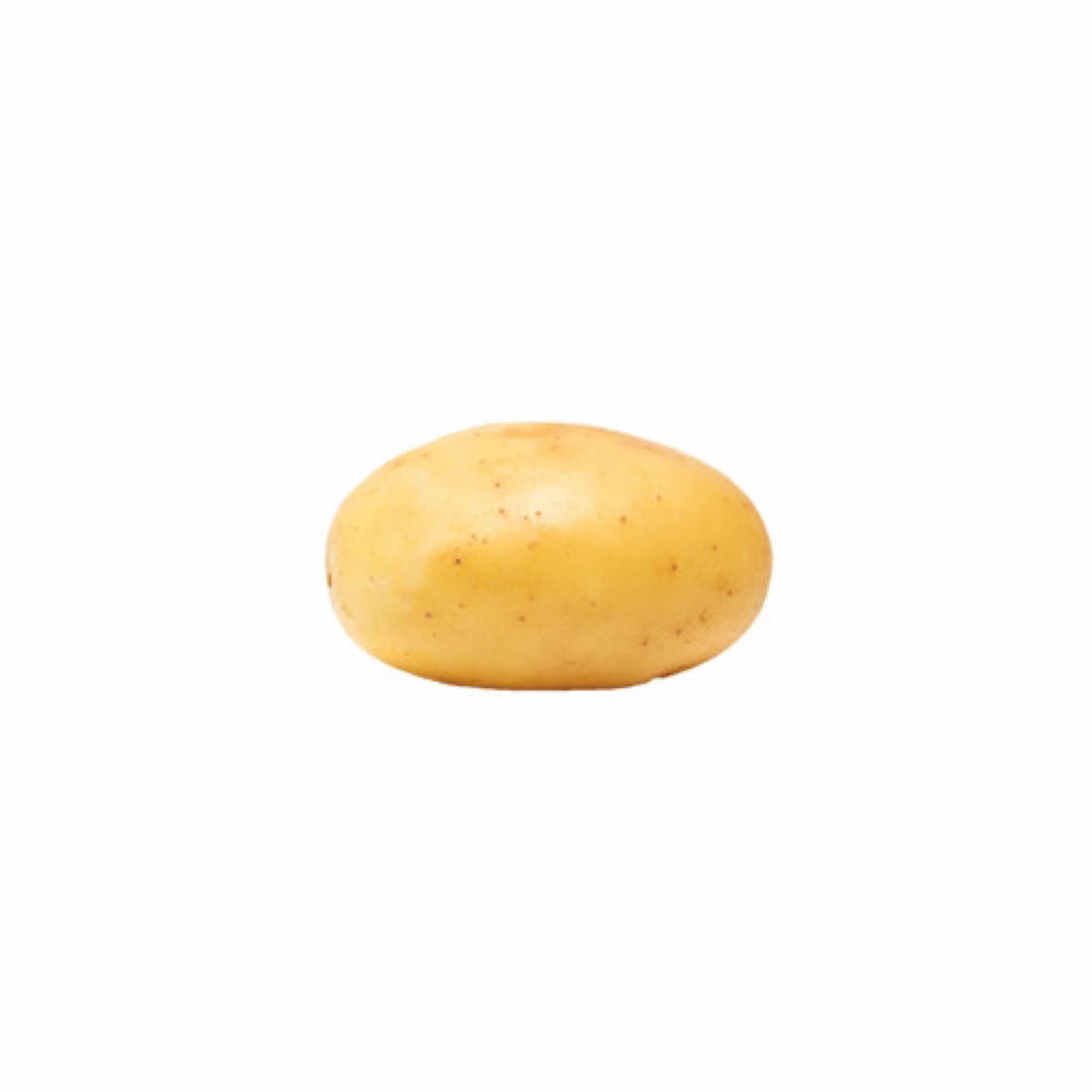 avatar of Potato_Dude