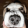 avatar of Blammie