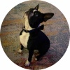 avatar of okcjc
