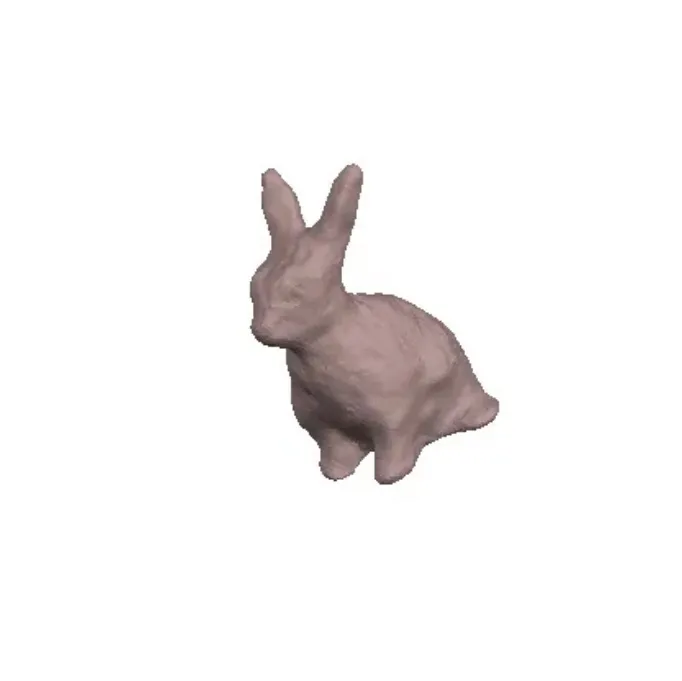 rabbit