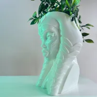 AHSOKA FLOWER POT-STAR WARS-4