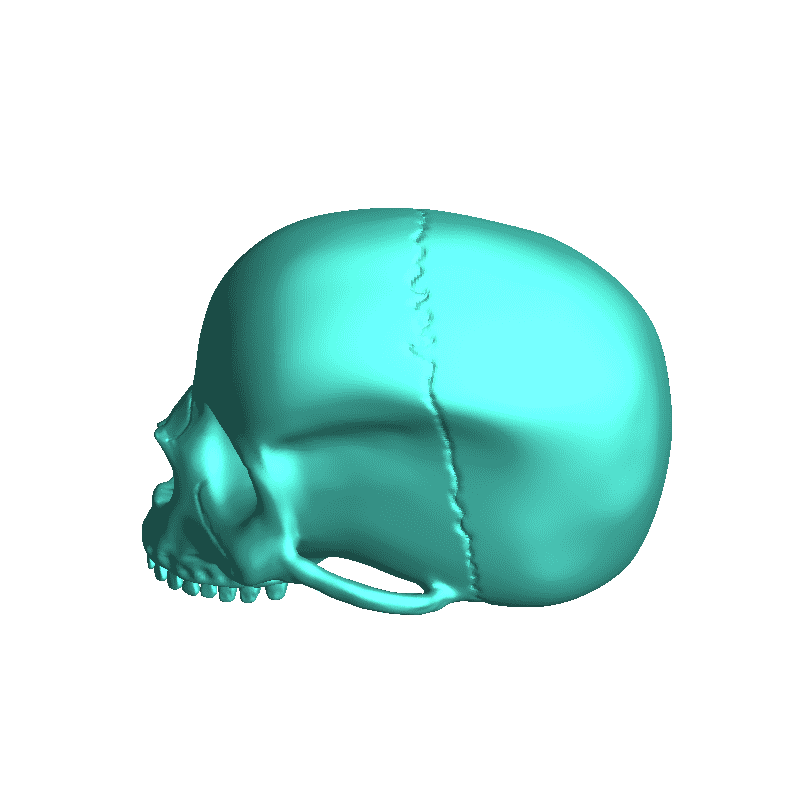 halo human skull by halo sugar skull planet alexander