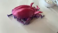 Horned Scarab Beetle-2
